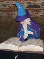 Wizard reading book